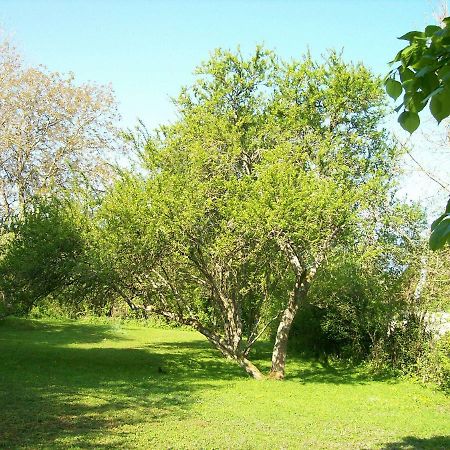 Chez Scallan B&B Sens sur Seille Екстер'єр фото