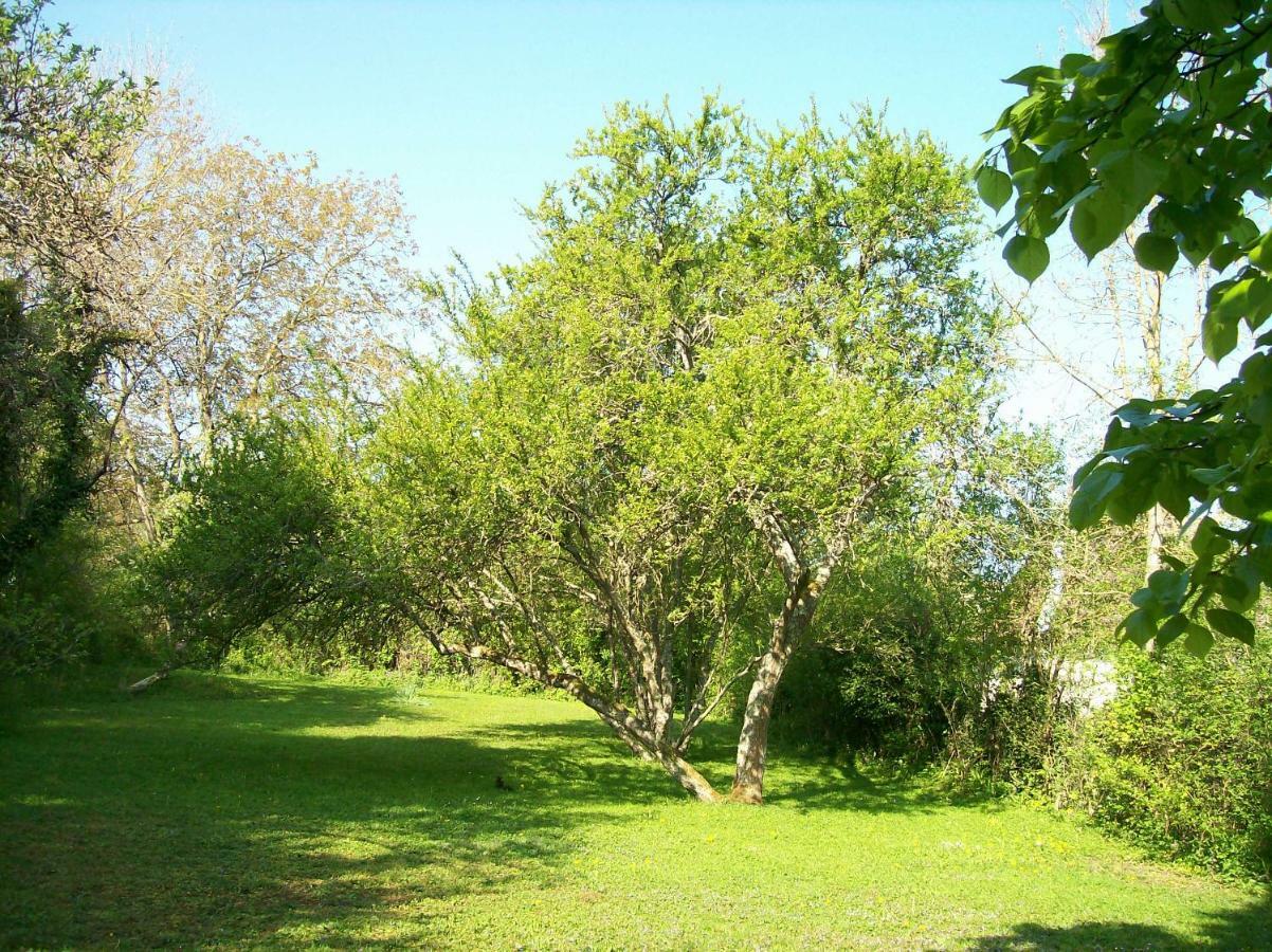 Chez Scallan B&B Sens sur Seille Екстер'єр фото